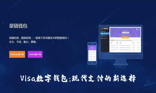 Visa数字钱包：现代支付的新选择