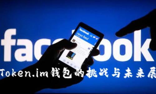 : Token.im钱包的挑战与未来展望