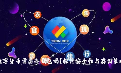 数字货币需要冷钱包吗？探讨安全性与存储策略