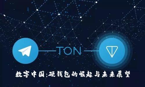 数字中国：硬钱包的崛起与未来展望