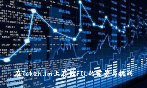 在Token.im上存储FIL的前景与挑战
