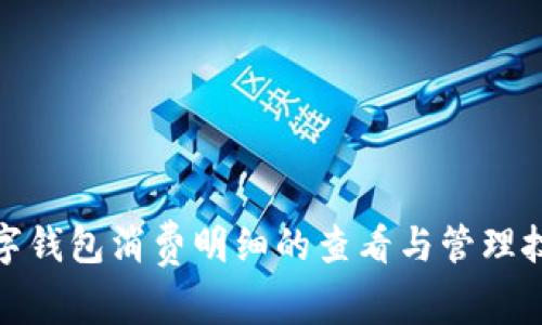 数字钱包消费明细的查看与管理技巧