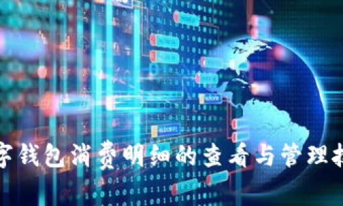 数字钱包消费明细的查看与管理技巧
