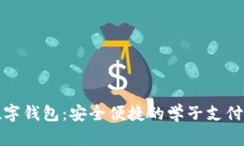 校园数字钱包：安全便捷的学子支付新选择