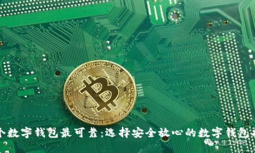 哪个数字钱包最可靠：选择安全放心的数字钱包指南