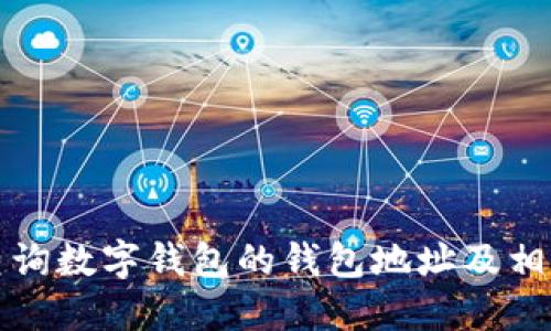 如何查询数字钱包的钱包地址及相关信息