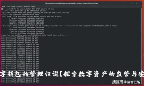 数字钱包的管理归谁？探索数字资产的监管与安全
