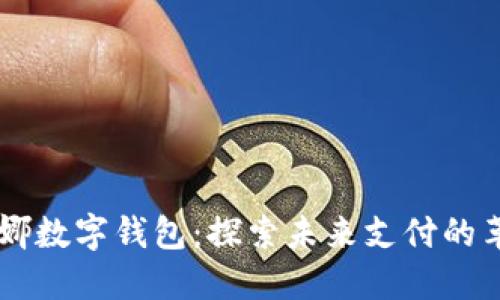 日本莫娜数字钱包：探索未来支付的革新之路