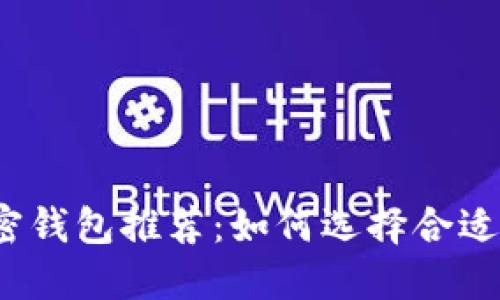 最佳数字加密钱包推荐：如何选择合适的加密钱包？