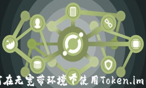 
如何在无宽带环境下使用Token.im钱包