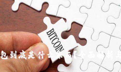 区块链钱包到底是什么东西？全面解析与应用前景