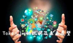 Token.im的现状及未来展望