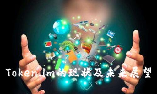 Token.im的现状及未来展望
