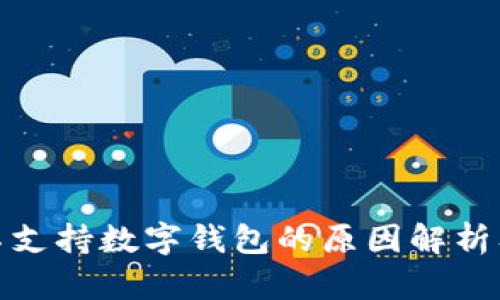 微信支付不支持数字钱包的原因解析及解决方案