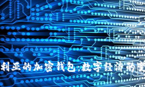 探索尼日利亚的加密钱包：数字经济的变革与未来