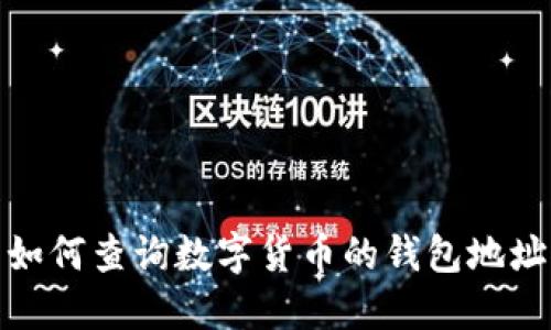 如何查询数字货币的钱包地址