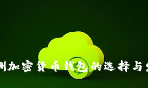 非洲加密货币钱包的选择与发展
