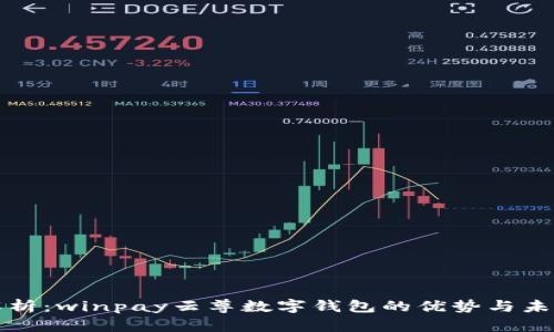 全面解析：winpay云尊数字钱包的优势与未来发展