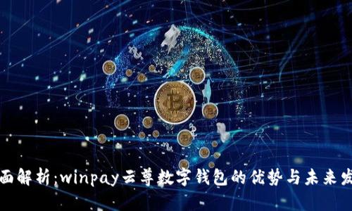全面解析：winpay云尊数字钱包的优势与未来发展