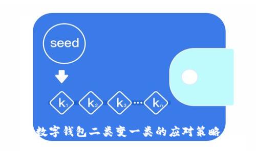 数字钱包二类变一类的应对策略