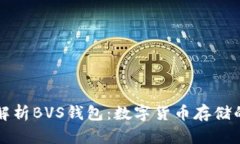 深入解析BVS钱包：数字货币存储的未来