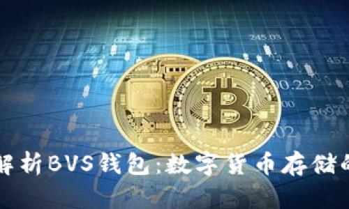深入解析BVS钱包：数字货币存储的未来