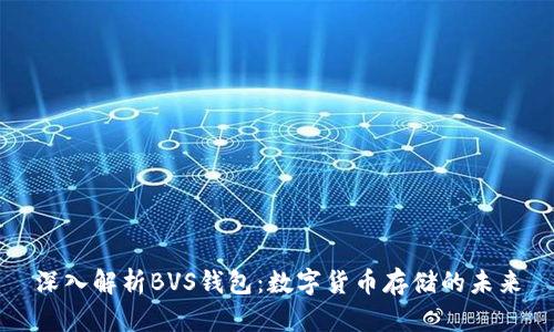 深入解析BVS钱包：数字货币存储的未来