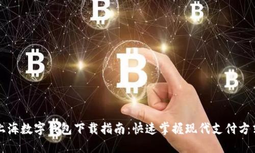 上海数字钱包下载指南：快速掌握现代支付方式