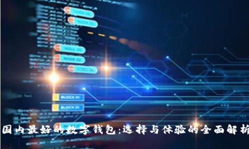 国内最好的数字钱包：选择与体验的全面解析