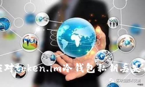 如何应对token.im冷钱包私钥丢失的风险