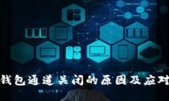 数字钱包通道关闭的原因及应对策略