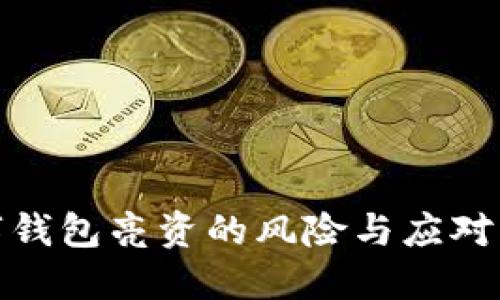 数字钱包亮资的风险与应对策略