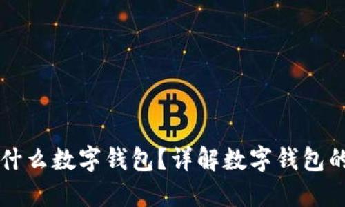 火车充值用什么数字钱包？详解数字钱包的选择与使用