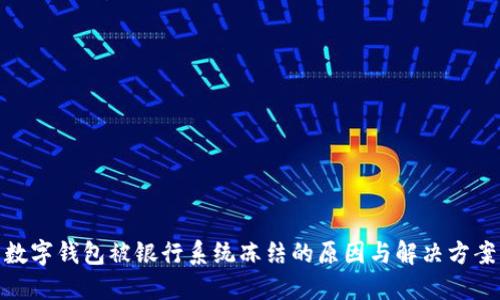 数字钱包被银行系统冻结的原因与解决方案