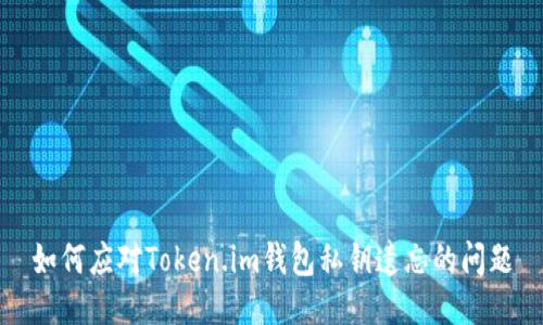 如何应对Token.im钱包私钥遗忘的问题