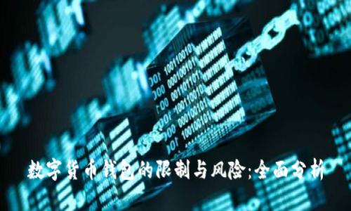 数字货币钱包的限制与风险：全面分析