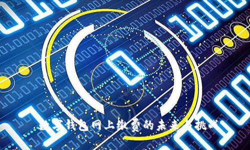  数字钱包网上缴费的未来与挑战