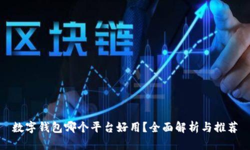 数字钱包哪个平台好用？全面解析与推荐