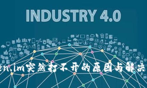 Token.im突然打不开的原因与解决办法