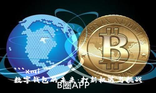 ```xml
数字钱包的未来：打新机遇与挑战