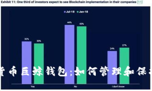 揭秘数字货币巨鲸钱包：如何管理和保护巨额资产
