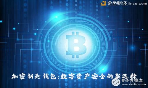 加密钥匙钱包：数字资产安全的新选择