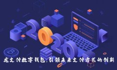 龙支付数字钱包：引领未来支付方式的创新