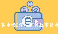 能上IM钱包币是真币吗？深入探讨数字货币的真实