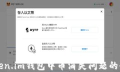 解决Token.im钱包中币消失问题的全面指南