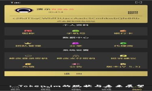 : Token.im的现状与未来展望