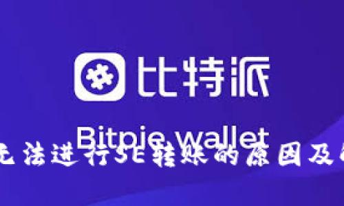 IM钱包无法进行SE转账的原因及解决方法