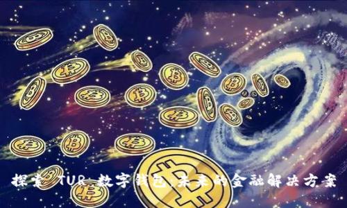 探索 TUR 数字钱包：未来的金融解决方案